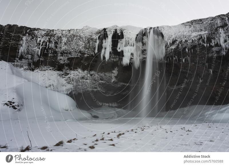 Ein majestätischer isländischer Wasserfall fließt inmitten von Schnee und Eiszapfen, ein heiteres und kraftvolles Schauspiel in einer stillen Winterlandschaft