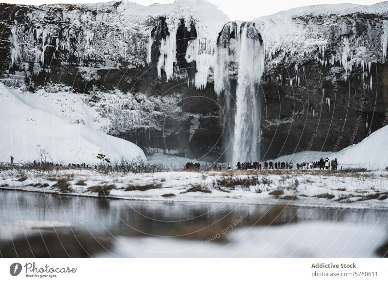 Eine Gruppe von Touristen versammelt sich voller Ehrfurcht am Fuße eines mächtigen isländischen Wasserfalls, umgeben von einer dramatischen Landschaft aus Eis und Schnee