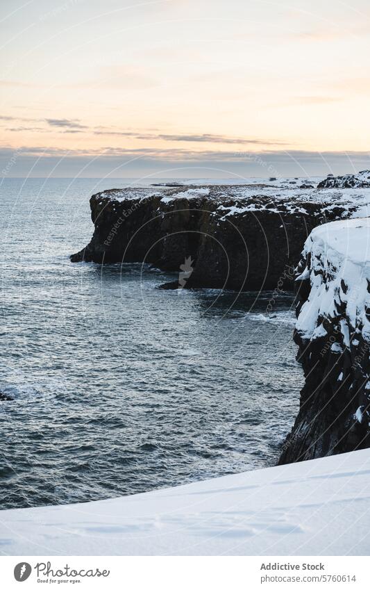 Das Licht der Abenddämmerung mildert die Szene, in der die schneebedeckten Klippen im Winter dramatisch in das dunkle Wasser des isländischen Meeres abfallen