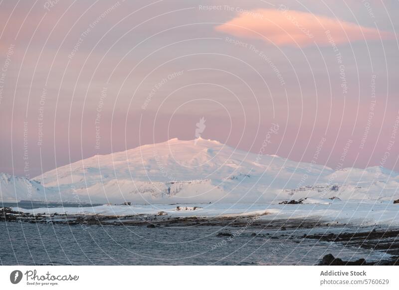 Ein zartrosa Himmel in der Abenddämmerung bietet eine friedliche Kulisse über einem riesigen, schneebedeckten Berg in der ruhigen Wildnis Islands