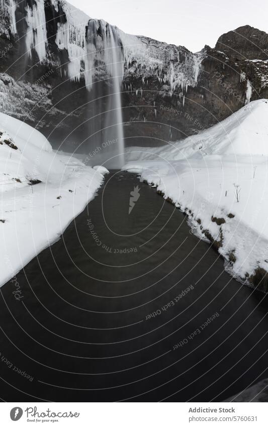 Ein majestätischer Wasserfall stürzt in einer eisigen Umarmung herab, eingerahmt von schneebedeckten Felsen und einem ruhigen Fluss im Herzen des isländischen Winters