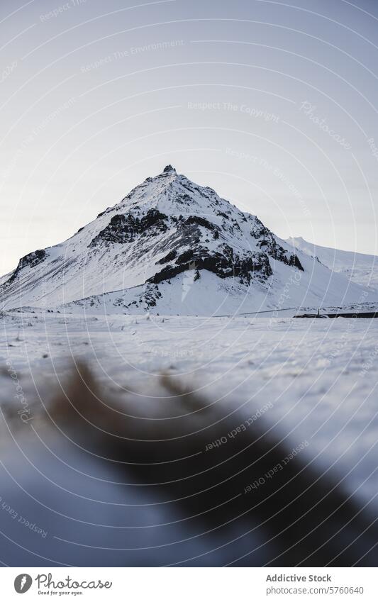 Ein einsamer Berg erhebt sich steil gegen den sanften Winterhimmel, seine Hänge sind mit frischem Schnee bedeckt und verkörpern die stille Schönheit Islands.
