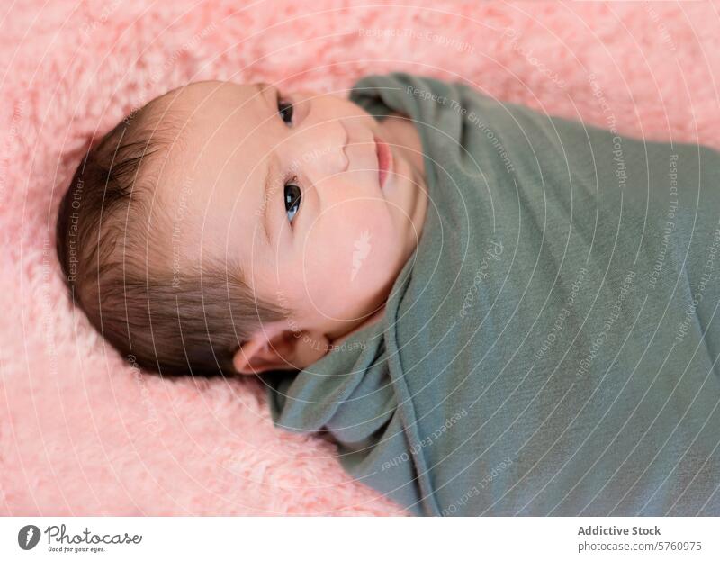 Eine Woche altes neugeborenes Mädchen Baby Gelassenheit eingewickelt Decke rosa Textur weich Hintergrund Säugling Kind niedlich friedlich gemütlich warm wickeln