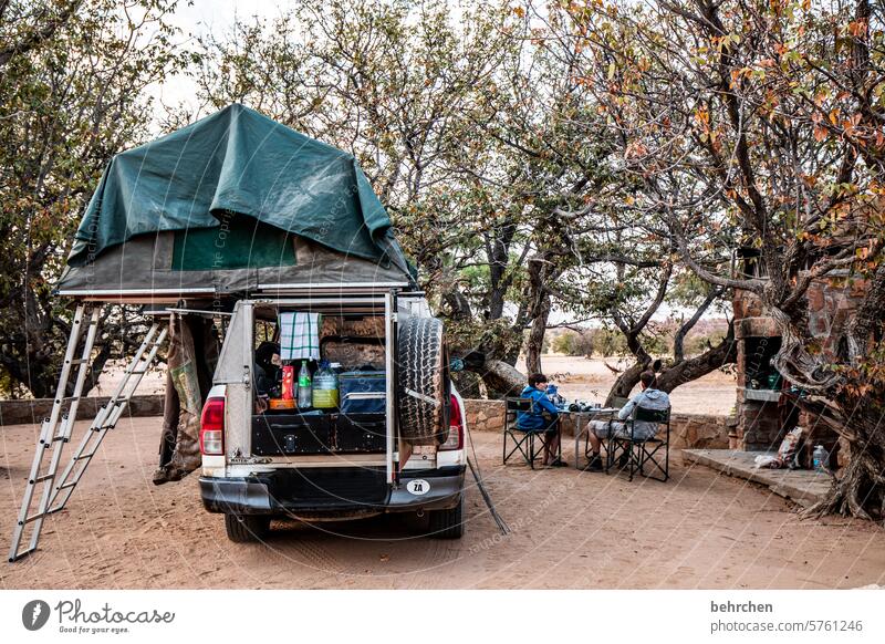 senk ju for treweling | immer unterwegs Natur Landschaft Baum besonders Abenteuer Ferien & Urlaub & Reisen Afrika Namibia reisen Fernweh jeep Zelt dachzelt