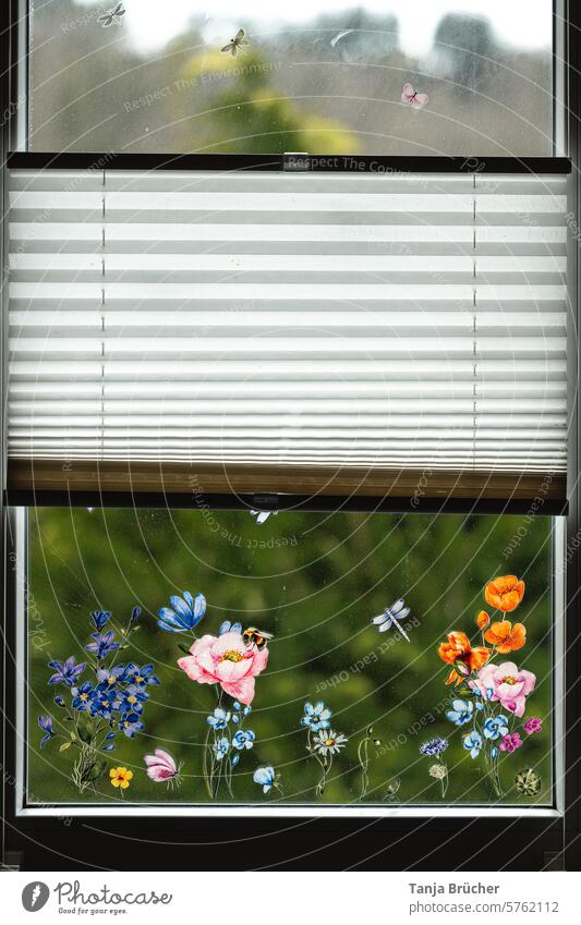 Blumiger Blick aus dem Fenster Fensterbild Fensterbilder Blick nach draußen Bunte Blumen Frühlingsblumen am Fenster Blumen am Fenster Fensterscheibe Plissee