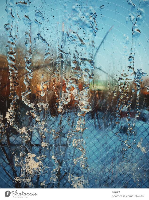 Im Eisschrank Gewächshaus Glasscheibe Blick nach draußen verschwommen Fenster durchscheinend Schutz winterlich Januar verschneit Unschärfe durchsichtig