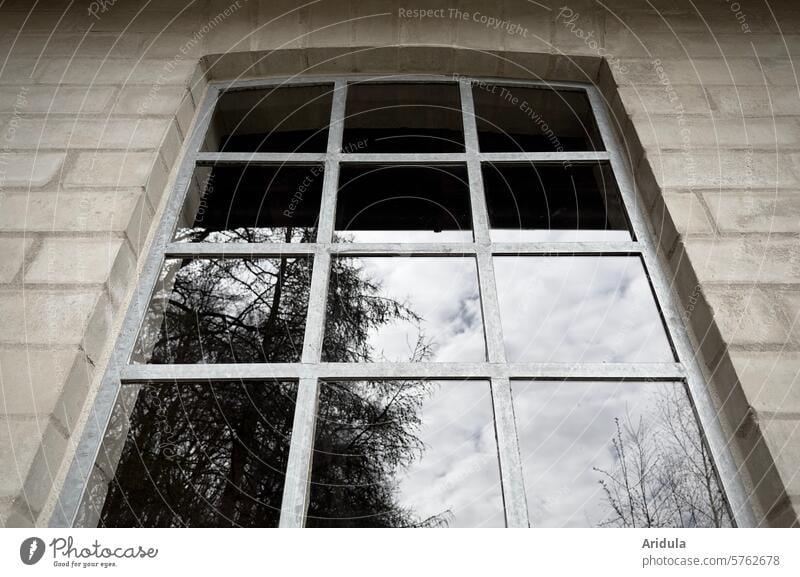 Sprossenfenster, Steinwand, Baumspiegelung, Wolkenhimmel Wand Fenster Spiegelung Fensterglas Bäume Himmel Gebäude Fassade Außenaufnahme Reflexion & Spiegelung