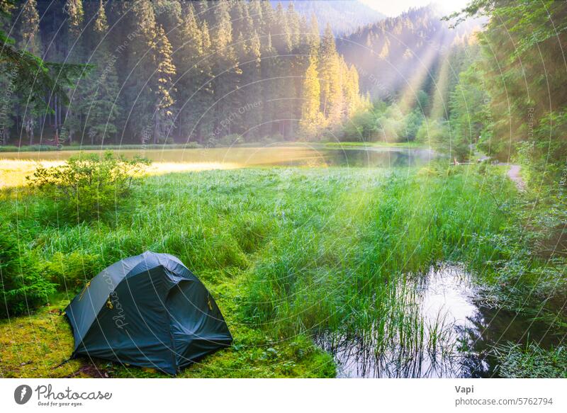 Grünes Zelt am Waldsee See Camping Landschaft Morgen Natur Sonnenuntergang neu schön Licht Herbst Wasser Tapete Hinterland Lager reisen Kiefer Schönheit Baum