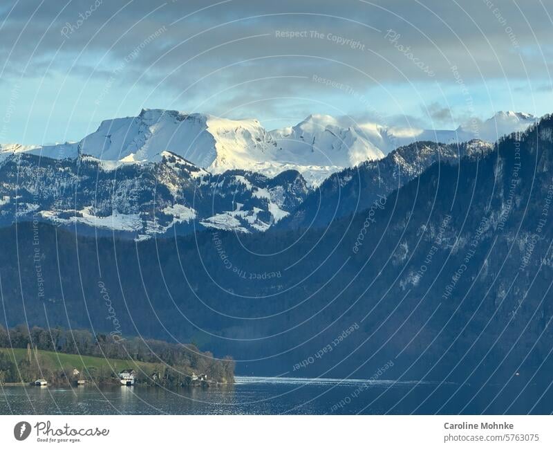 Blick von Meggen aus über den Vierwaldstättersee auf das Titlisgebiet Berge Berge u. Gebirge Landschaft Natur Außenaufnahme Gipfel Alpen Felsen Wolken Umwelt