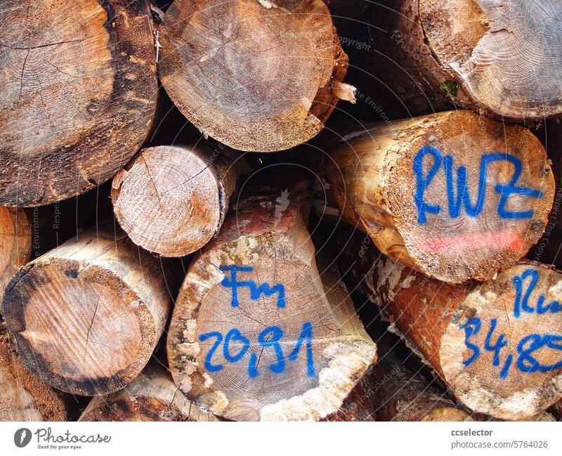 Ansicht markierter Schnittflächen eines Holzstapels Forstwirtschaft Brennholz Baumstämme Festmeter Energiepreise Heizkosten Brennstoffe Festbrennstoffe Wald