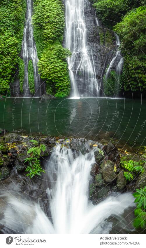 Der dynamische Fluss eines Dschungelwasserfalls, umgeben von grünem Laub, schafft einen ruhigen Zufluchtsort, der von der Welt abgeschirmt ist. Wasserfall