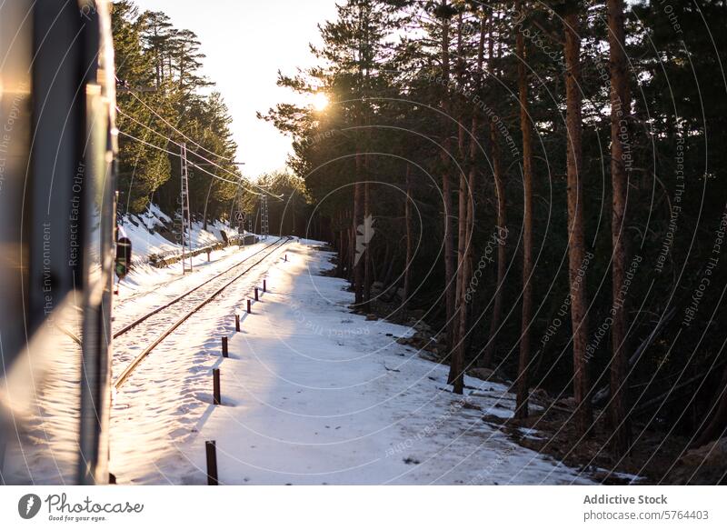 Sonnenuntergang über verschneiten Bahngleisen im Kiefernwald Schnee Eisenbahnschienen Pinienwald ruhig Natur im Freien Winter Landschaft Sonnenlicht Bäume Reise