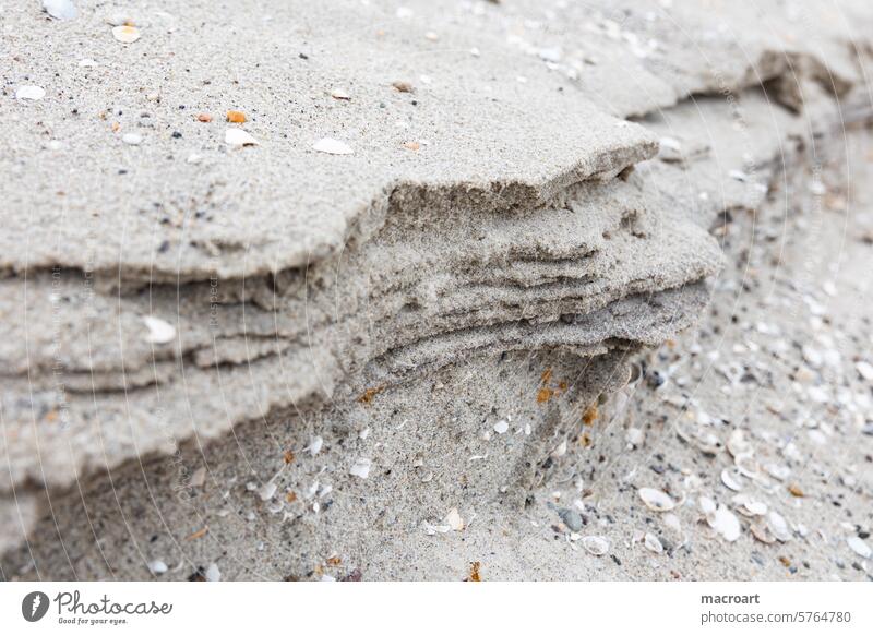 Erosion der Dünen an der Ostsee in Nahaufnahme der Muster erosion dünen sandstrand muscheln lamellen musterung detail detailaufnahme rillen dunen erosion