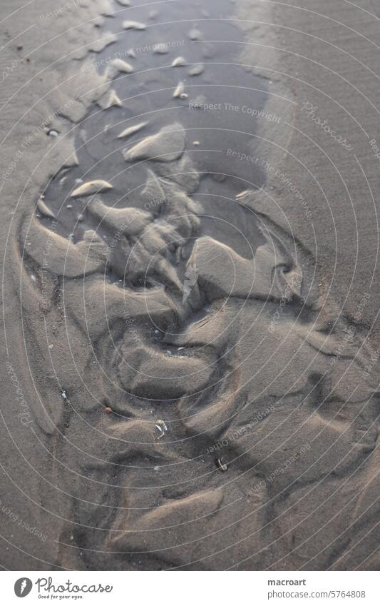 Spuren des Wassers im Sand wasser gedächtnis sandstrand ausgetretene wege pfade datenautobahn leere leeren vertrocknen trocken wellen wellenmuster wellenförmig