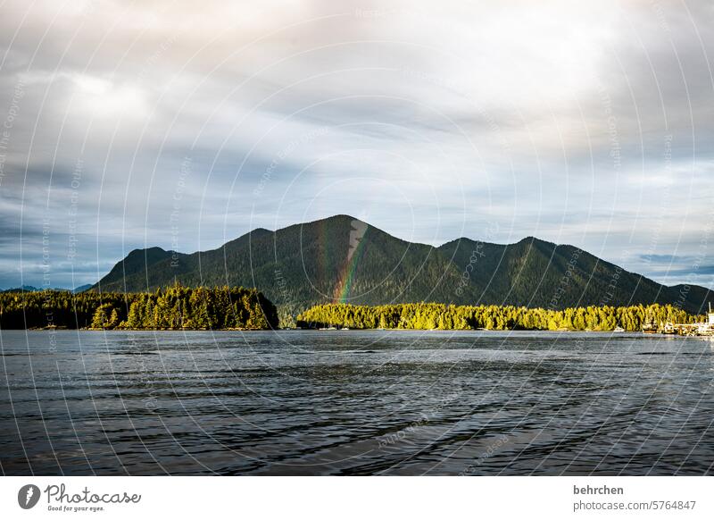 das glück liegt im meer Ferien & Urlaub & Reisen Außenaufnahme Vancouver Island Fernweh fantastisch Farbfoto Nordamerika Kanada Freiheit Abenteuer Wasser