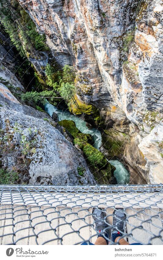 zähne zusammenbeißen | und in den abgrund blicken Höhe hoch schwindelfrei schwindelig maligne canyon steil tiefe flussbett Schlucht Alberta Jasper National Park