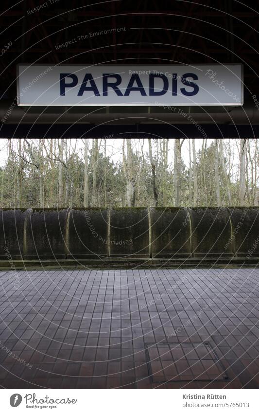 halt im paradies paradiesisch schrift schild Haltestelle Bahnstation Metrostation bahnsteig Bahnhof Station Mauer Wald Trostlos trist Paradoxon grau trüb
