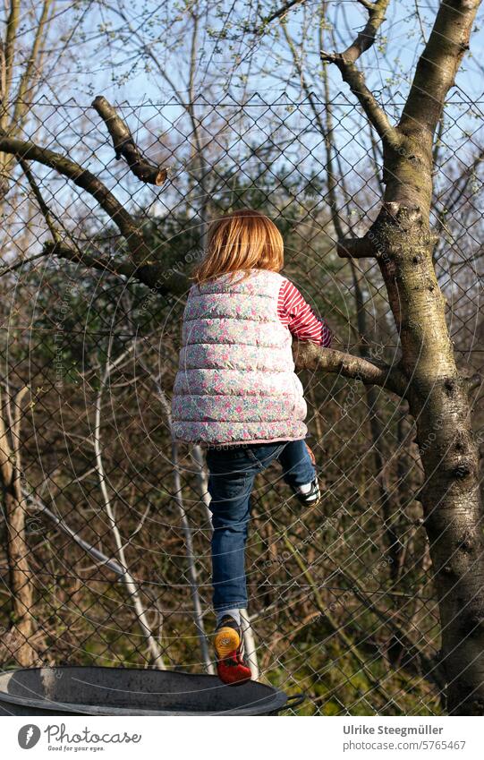 Ein Kind klettert im Frühling auf einen Baum Leben mit Kindern Natur Außenaufnahme Kind spielt im Garten rote Haare Freude Kindheit Sommer der Winter ist vorbei