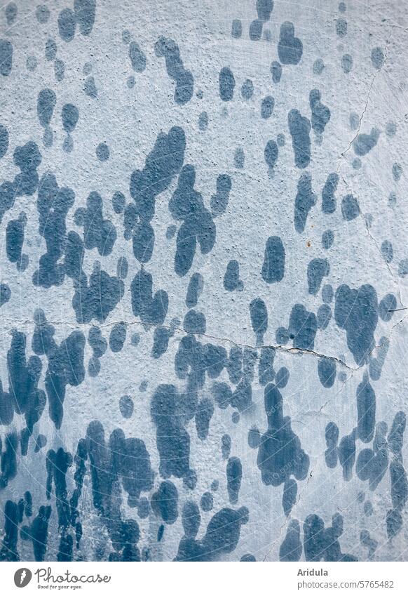 Regentropfen auf blaugrauer Wand Wassertropfen nass Putz Tropfen Detailaufnahme Nahaufnahme Flecken Muster