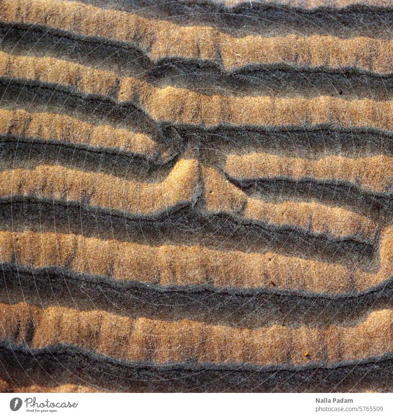 Spuren im Sand analog Analogfoto Farbe Farbfoto Strand Linie Furche Rille Muster Horizontale quer Streifen Außenaufnahme