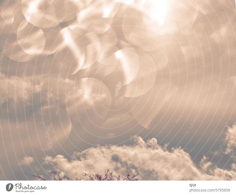 Regen Tropfen Wolken Sonne Sand ...! Regentropfen Bubbles Blasen leuchtend Schillernd transparent Licht Lichtspiel Sahara Himmel peachy Kreise Formen Strukturen