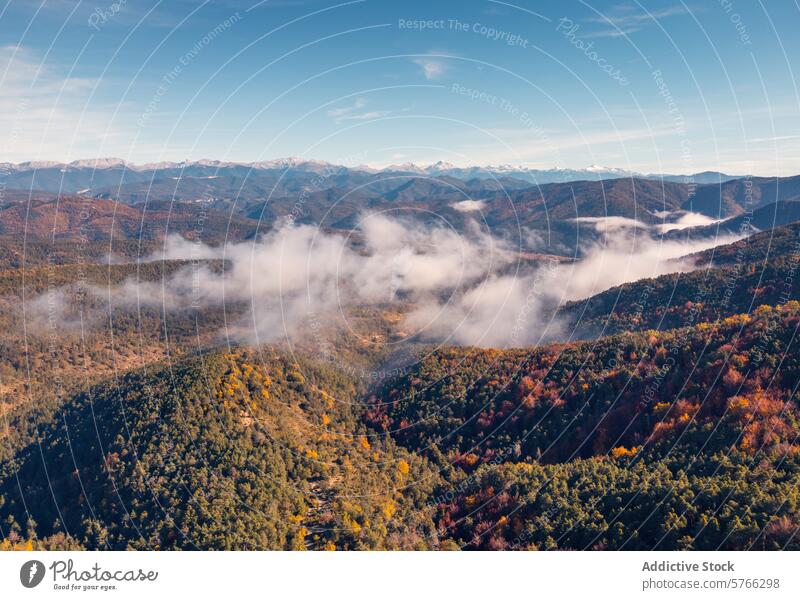 Ein atemberaubender Blick auf den nebligen Irati-Wald im Herbst, mit den majestätischen Pyrenäen und dem Larrau-Pass in der Ferne, der die natürliche Schönheit Navarras zeigt