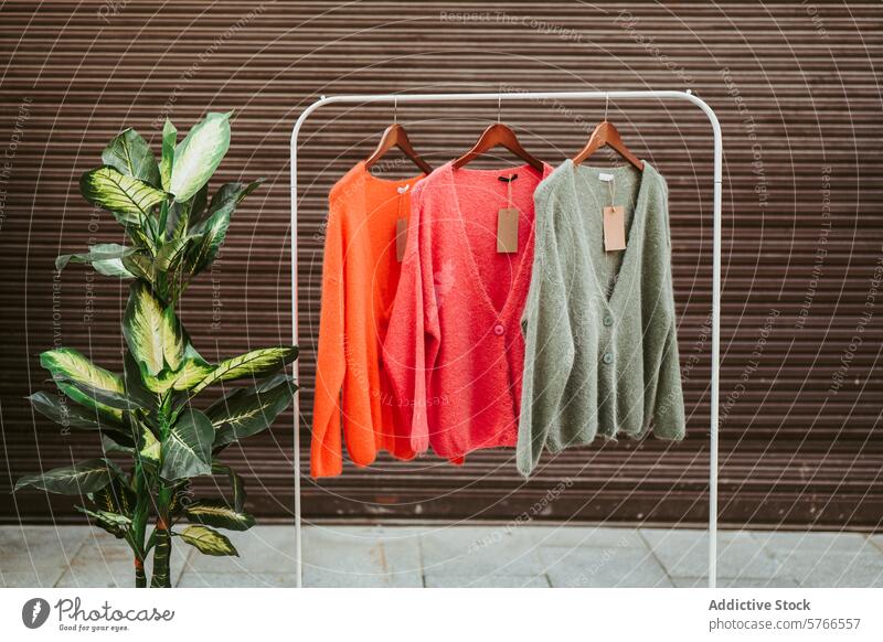 Ein bunter Farbverlauf von leuchtendem Orange zu zartgrünen Strickjacken auf einem weißen Kleiderständer neben üppigem Grün gemütlich Anzeige Steigung orange