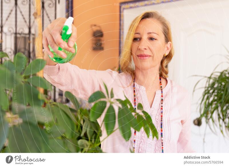 Ältere Frau, die sich mit einer Sprühflasche um Zimmerpflanzen kümmert reif fürsorglich beschlagen im Innenbereich Lächeln sanft Pflanzenpflege mittleren Alters