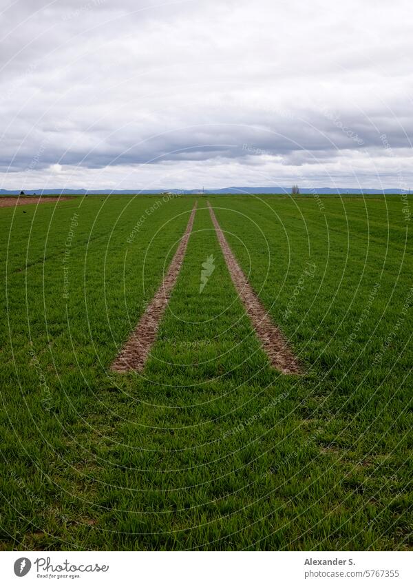 Fahrzeugspuren im Feld unter bewölktem Himmel Acker Landwirtschaft Spuren Fahrspuren Ackerbau Wolken Landschaft Getreidefeld grün
