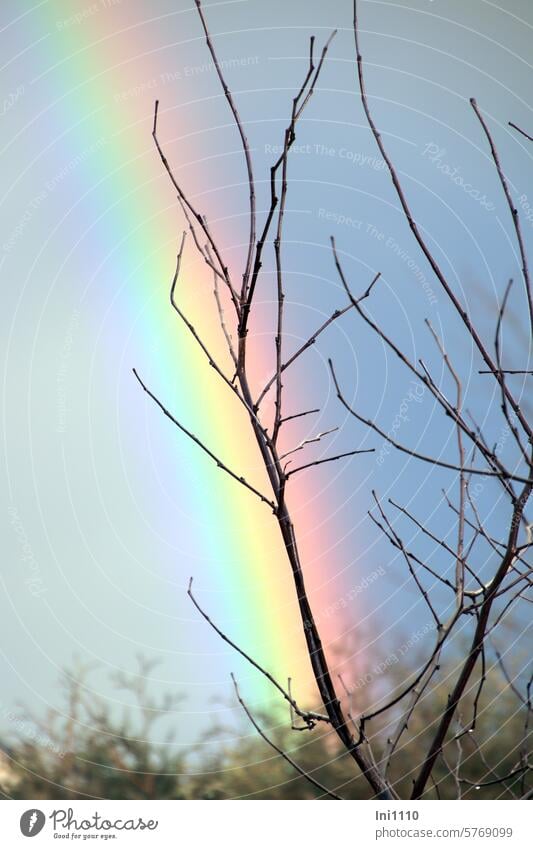 ein Stück vom Regenbogen Garten April Aprilwetter Himmel grauer Himmel Wetterkapriolen Naturschauspiel Teilansicht regenbogenfarben Baumäste