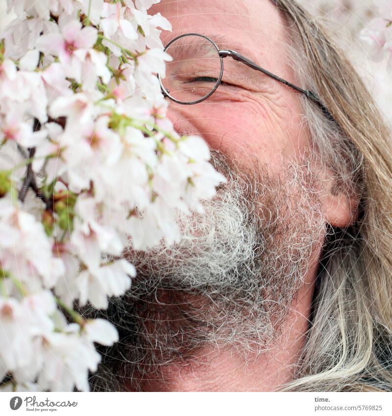 eine Linie Kirschduft Mann Portrait Brille zufrieden geschlossene Augen duften genießen Kirschblüte Blüten langhaarig Vollbart glücklich