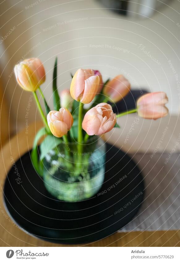 Rosa Tulpen in einer Vase Strauß Blumenstrauß Tulpenstrauß Frühling Tisch Blüte Pflanze Dekoration & Verzierung Frühlingsgefühle schön rosa Tulpenblüte