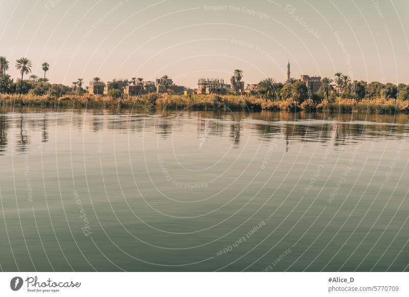 Reisen Ägypten Nilkreuzfahrt Afrika aswan ägypten Hintergrund Bank Nilufer schön Bootsfahrt Land Bodenbearbeitung Kultur wüst Ausflugsziel Umwelt Fauna Flora