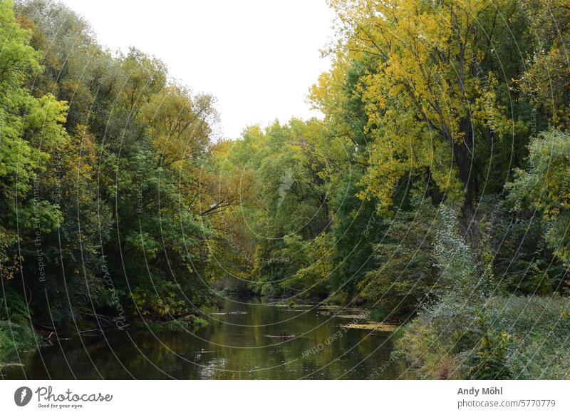 Ein Blick ins Grüne an der Bode Spaziergang Landschaft Natur grün Fluss entspannung Fotografie Sommer schön Idylle