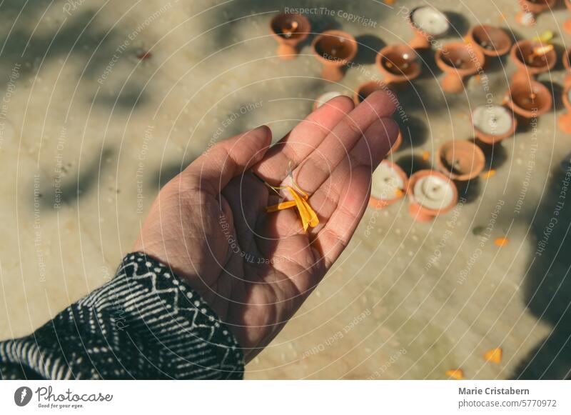 Draufsicht auf eine Hand, die mehrere Blütenblätter einer Ringelblumengirlande über mehreren Teelichtern hält, die heilige Opfergaben während eines religiösen Hindu-Rituals darstellen