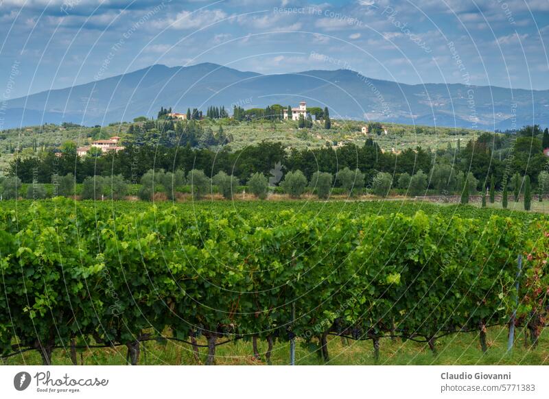 Ländliche Landschaft des Chianti, Toskana, Italien Europa brennen Florenz Impruneta Juli Signa Ackerbau Farbe Tag Bauernhof Feld grün Hügel Haus Natur oliv