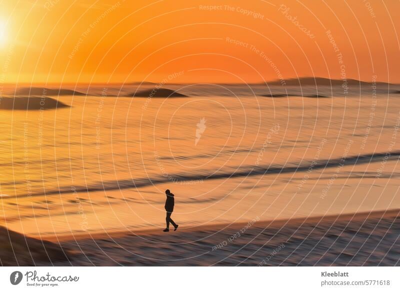 Einsamer Strandläufer zur Mitsommersonne an der Küste von Andenes Textfreiraum Außenaufnahme Urlaubsstimmung Idylle Kontrast Skandinavien, Sonne, Wasser