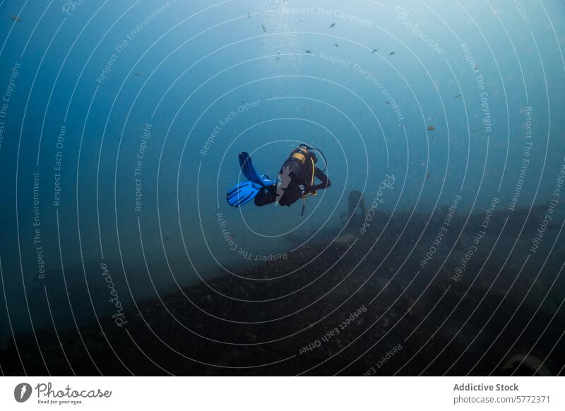 Taucher bei der Erkundung eines Schiffswracks unter Wasser Sporttaucher Schiffbruch Meer trübselig Tiefe schwimmen Sinkflug blau Flosse Abenteuer marin