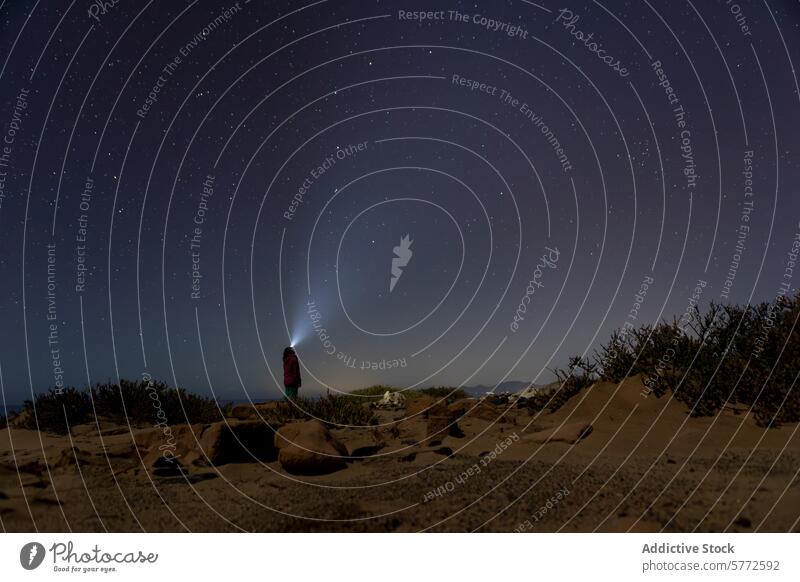 Nächtliche Erkundungstouren auf Fuerteventura unter Sternenhimmel Nacht Himmel Taschenlampe Person Dunkelheit Cofete Strand Costa Calma Südinsel Nachtfotografie