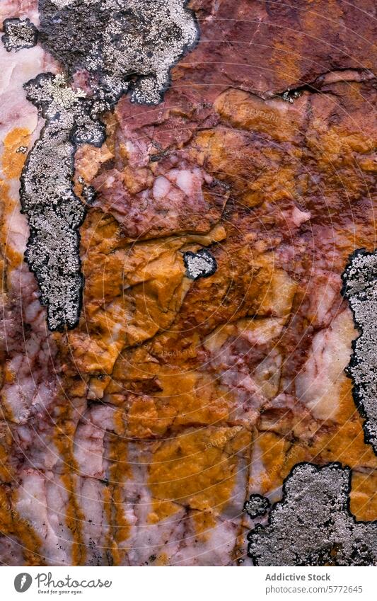 Kieselerde und Quarzgestein mit bunten Nickelbildungen Felsen Textur Kieselsäure nickel Formation Erde Ton pulsierend abstrakt Hintergrund natürlich Geologie