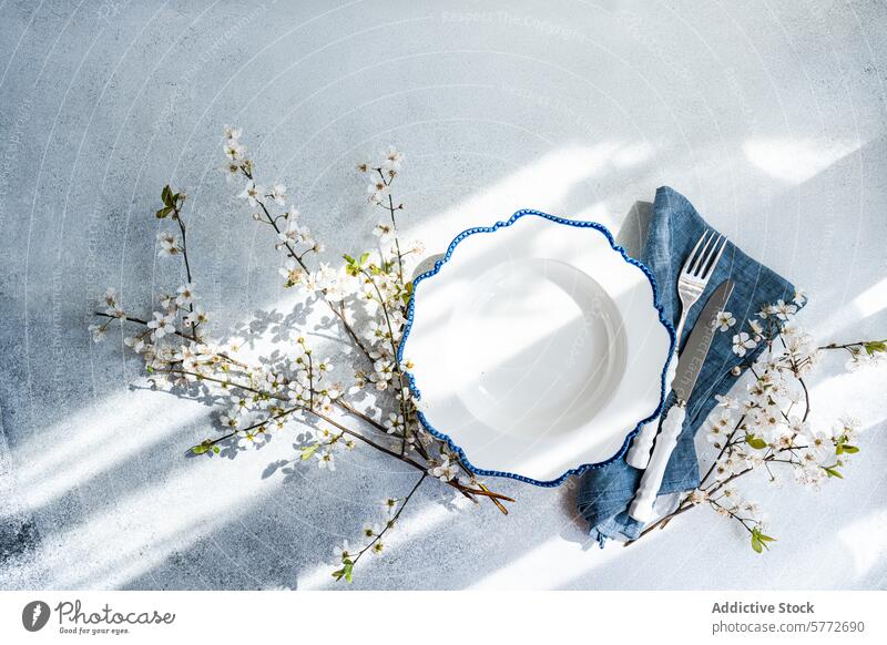 Frühlingshaft gedeckter Tisch mit Kirschblüten und Sonnenschein Einstellung Kirsche Blüte Licht elegant Natur weiß Teller blau entgittern Ast Blume Blütenblatt