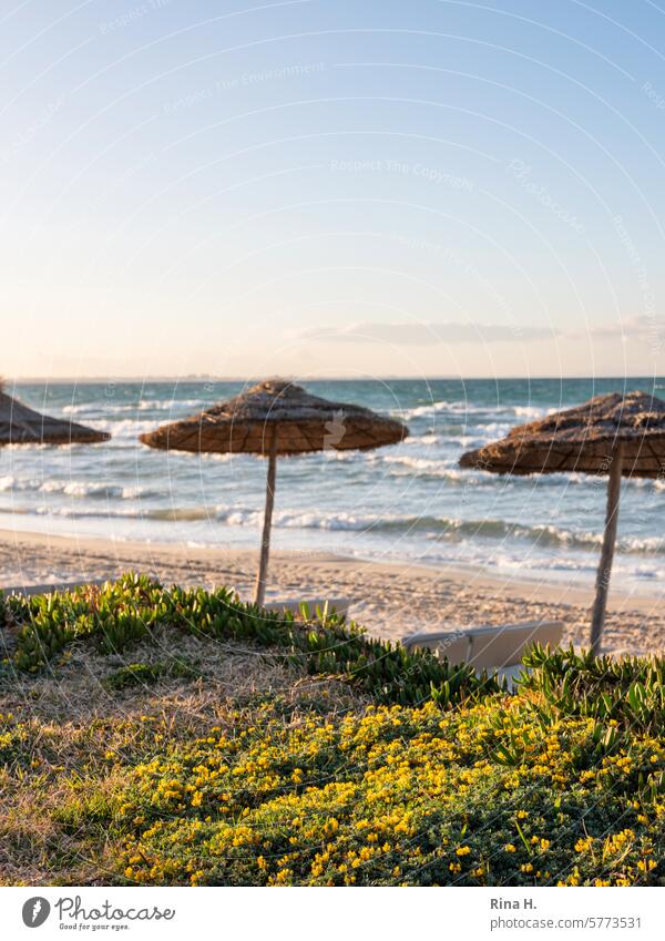 Wind am menschenleeren Mittelmeerstrand Djerba Tunesien windig Strand Frühling Sonnenschirm Ferien & Urlaub & Reisen Farbbild
