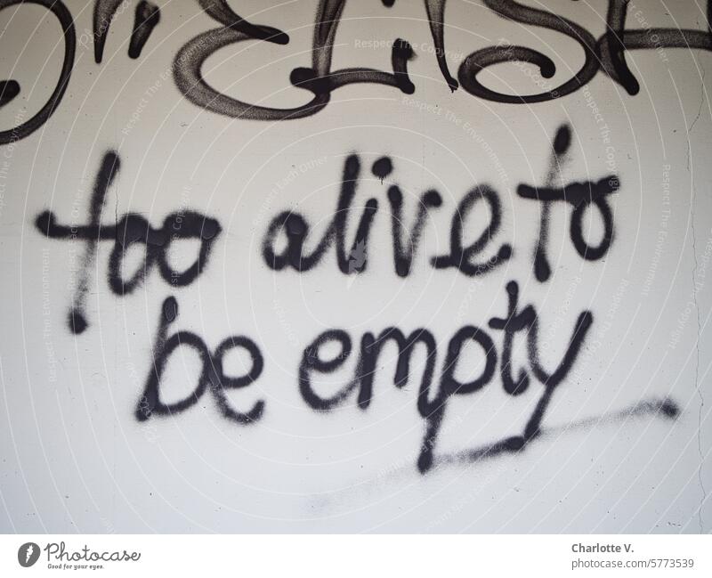 Graffiti I zu lebendig, um leer zu sein Schriftzeichen Straßenkunst Zauberstab Schriftzug Spruch rätselhaft