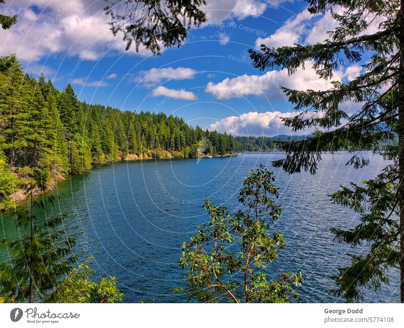 Der Cushman-See an einem Sommertag Seeufer Mobile Washington Washington State pazifischer Nordwesten Teich Landschaft Olympische Berge Bergkette