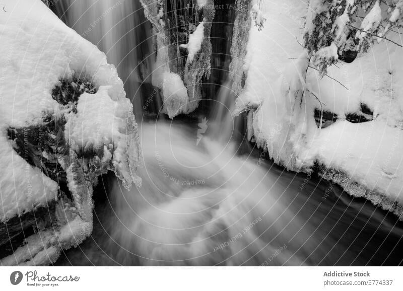 Bergfluss im Winter mit fließendem Wasser und Schnee Berge u. Gebirge Fluss Landschaft schwarz auf weiß Natur Eiszapfen Gelassenheit Frost Baum kalt im Freien