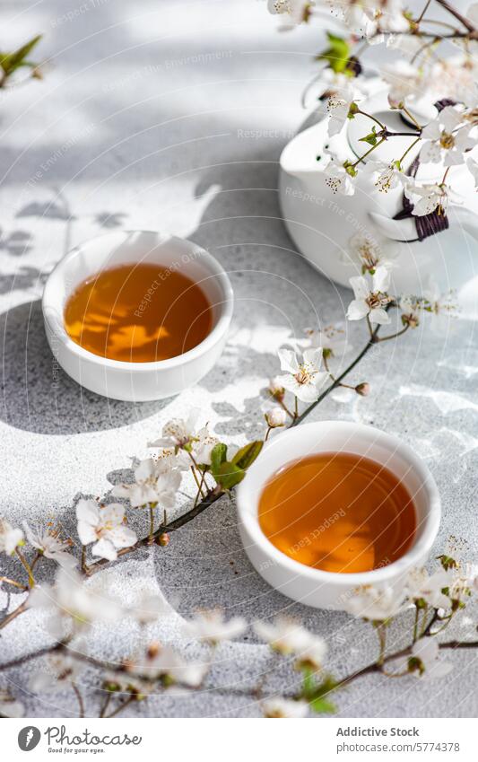 Beschauliche Teestimmung mit blühenden Kirschblüten Tasse Blume Schatten Textur Oberfläche warm filigran weiß Blütezeit weich Ruhe Getränk trinken geblümt