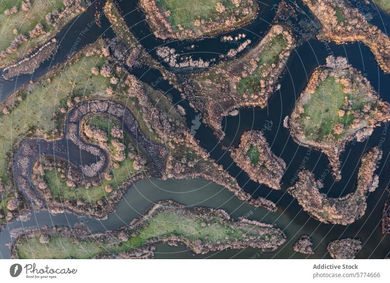 Mäandernder Fluss Ciguera aus der Luft, Ciudad Real, Spanien Antenne Ziguera Serpentine Kurve Irrfahrt Wasser Landschaft Natur kompliziert Grün Flussufer