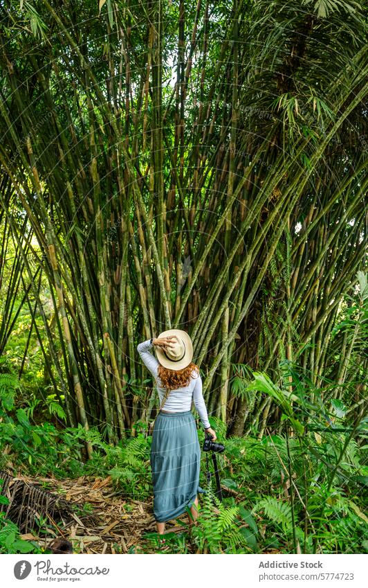Frau erkundet üppigen Bambuswald in Bali Hut Fotokamera Wald grün üppig (Wuchs) Tropen Ökotourismus Entdecker reisen Abenteuer Natur umweltfreundlich Vegetation