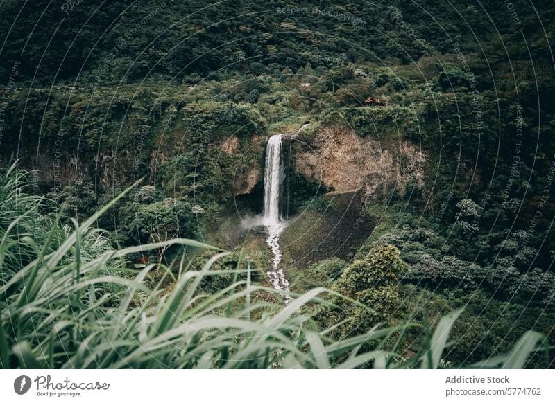 Malerischer Wasserfall inmitten üppiger Vegetation am Äquator Grün baños de agua santa Landschaft Natur Gelassenheit üppig (Wuchs) tropisch Ecuador reisen