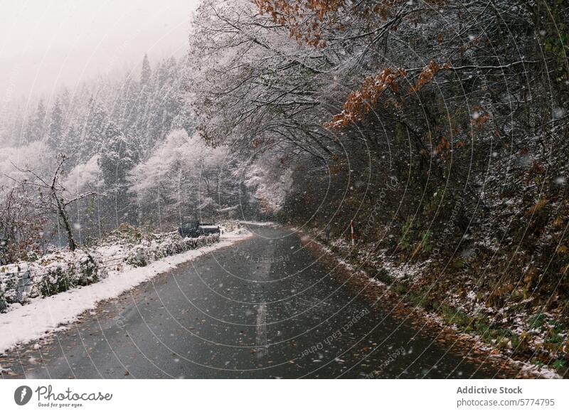 Verschneiter Roadtrip durch die japanische Landschaft Japan reisen Straße Schnee Winter ländlich Fahrzeug Laufwerk malerisch frostig Baum Natur Reise Abenteuer
